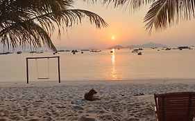 The Sunrise Anh Tu